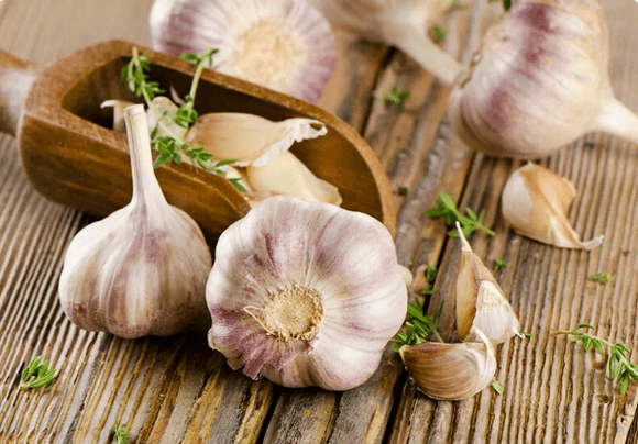 Knoflook van wormen