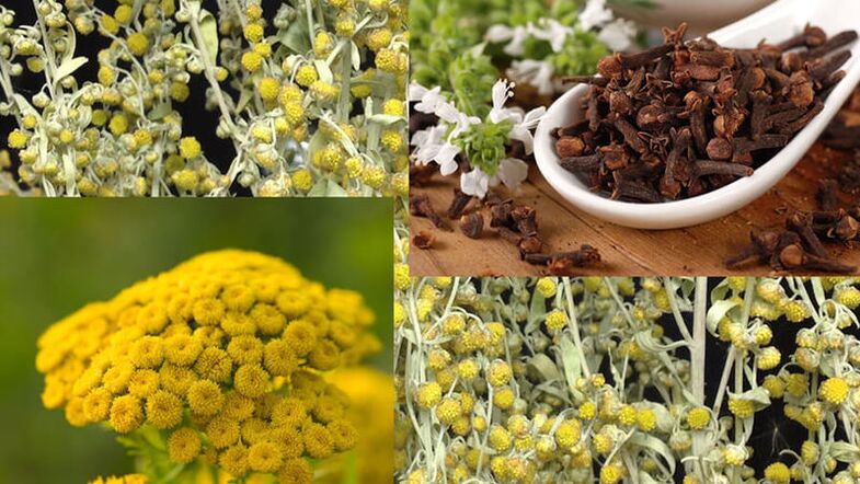Folk remedies voor parasieten